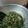 Cooksnap dari Fitria Hadi untuk resep 28. Sayur Santan Daun Kenikir