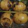 Cooksnap dari Ummu Anas Aisyah untuk resep Semur telur ayam
