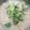 彭淑貞 的 芋頭排骨粥 cooksnap