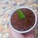 Cooksnap dari Tinawu_cookingdiary untuk resep Wajik Ketan Gula merah