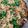Sonal Sardesai Gautam's cooksnap of when they made चिकन बिरयानी (chicken biryani recipe in Hindi).