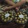 Cooksnap dari Leny Cullen untuk resep Nastar hemat rasa premium tanpa oven cuma pake teflon