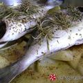 Cooksnap από despinal στη συνταγή Τσιπούρες με δενδρολίβανο και μουστάρδα