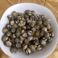 Cooksnap dari Befi Banegawati untuk resep Kerang Dara Pedas Maknyus