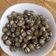 Cooksnap dari Befi Banegawati untuk resep Kerang Dara Pedas Maknyus