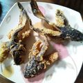 Cooksnap dari Sheilla Fauzia Maretta untuk resep Lele Terbang Crispy