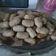 Cooksnap dari Santhi Kartika Putri untuk resep Pempek Nasi