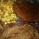 Cooksnap dari Ulfa Jannah untuk resep Beef Steak Crispy ala WS