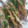 El cooksnap de Laura cuando hizo Sardinas fritas.