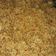 Cooksnap dari Elok Faridah Sholah untuk resep Nasi Goreng Pedas