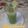 Rita mehta's cooksnap of when they made Cucumber Cooler.