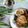 Cooksnap dari arnina putri untuk resep Pecel Kw DEBM