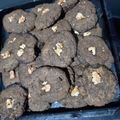 El cooksnap de claudia rosa ferrilli cuando hizo Galletitas de Algarroba.