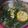 Cooksnap dari mputri untuk resep Sayur Bening Bayam