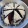 Cooksnap dari Home.Foodies untuk resep Brownies kukus sederhana
