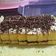 Cooksnap dari my recipee untuk resep Boeloe Jadoel * Bolu Jadul Empuk + Enak * 🍰