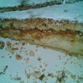 El cooksnap de Barbie Ferreyra cuando hizo Torta de ricotta al postre y dulce de leche.
