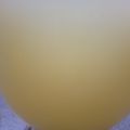 Anamta Azeem's cooksnap of when they made Ginger and cucumber juice.