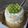 susan chuang 的 草莓蛋糕 cooksnap