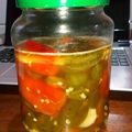 El cooksnap de Kurama cuando hizo Ajies jalapeños en conserva.