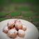 Cooksnap dari Indah Triwiartuti untuk resep Tape Goreng Simple