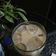 Cooksnap dari Anugrah Yekti R. untuk resep Es Kopi Susu Coconut Delight