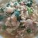 Cooksnap dari Amallia cooking untuk resep Kwetiau kuah simple