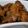 Cooksnap dari Rinda Febriany untuk resep Chicken wings Sour-Spicy