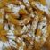 Cooksnap dari Sonya Aulia untuk resep Churros Keju