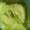 El cooksnap de Natalia cuando hizo Dip - pastita de palta en 3 pasos.