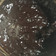 Cooksnap dari Geby untuk resep Selai Coklat Homemade (no dcc, no bahan kimia, hemat, praktis)