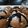 Cooksnap dari Arumia Gilang untuk resep Donat Cokelat Ekonomis Dan Hanya 1x Proofing
