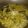 Cooksnap dari Nophi untuk resep 110. Soto Bening Daging Simpel