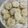 El cooksnap de Elaine Segovia cuando hizo Galletas de Azúcar con Ralladura de Limón y Naranja 🍋🍊🍪.