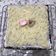 Cooksnap dari Candy untuk resep 405. Brownis Kukus Pisang Keju #Selasabisa