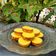 Cooksnap dari Resi Novita sari untuk resep Bingka Kentang Mini (Kue Lumpur Kentang)