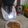 El cooksnap de Elen Gonzalez Jr. cuando hizo Solomillo Wellington.