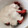 El cooksnap de Vir cuando hizo Yogur con fresas.