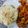 Hina Ibrahim's cooksnap of when they made Chicken manchurian with garlic rice.