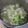 Cooksnap dari Katrin untuk resep Ginger Chicken Soup (Sup Ayam pereda flu)