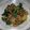 Cooksnap dari az untuk resep Tumis Sawi Hijau Campur Bakso
