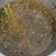 Cooksnap dari Ida Fadilah untuk resep Soto Daging Madura