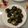 il CookFra quando ha preparato Polpette di spinaci