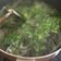 賴小孟 的 味噌海帶芽湯 cooksnap