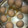 El cooksnap de Evelin Aleman ʚïɞ cuando hizo Pancitos de harina integral.