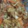 Cooksnap dari Suzanmomduor untuk resep Kimchi Komplit Anti Gagal