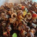 Cooksnap dari ana rokhana untuk resep Mini siput laut goreng versi hottt