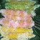 Cooksnap dari sofi ana untuk resep Cenil Tepung Ketan