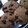 El cooksnap de moni cuando hizo Galletitas ASÍ DE RICAS !!!!.