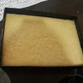 El cooksnap de Malena Abril Mira cuando hizo Lemonies.